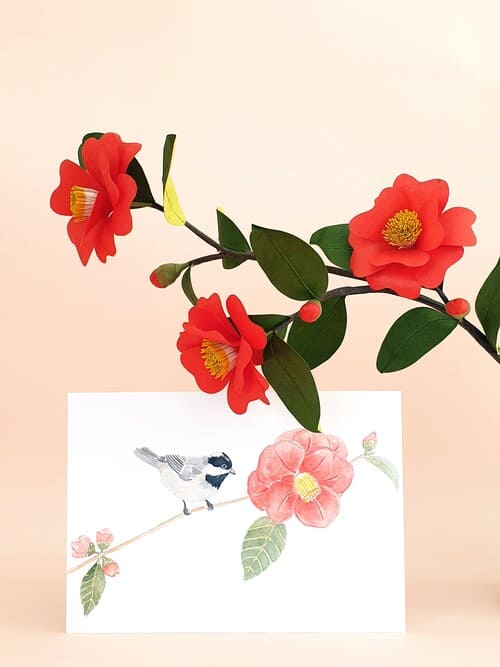 kit camelia japonica rouge coquelicot